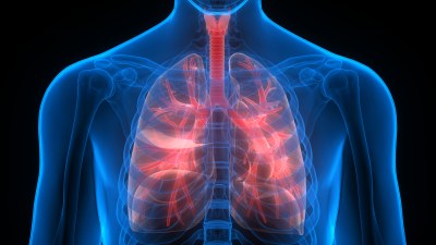 Lungen-Gesundheit, Infektionen und Impfstoffentwicklung